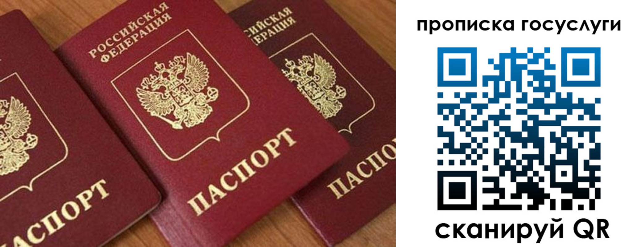 временная прописка в Павлово